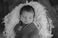 Amber- Newborn
