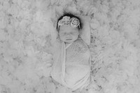 Ashlyn- Newborn