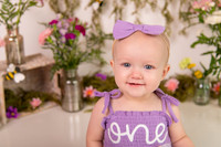 Stevie is One!