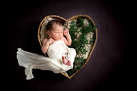 Ashley- Newborn