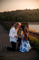 Nick Proposal