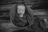 Julianna- Newborn