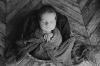 Baby Maverick