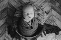 Baby Crew